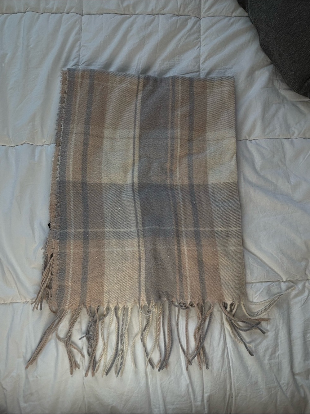 Cozy Neutral Plaid Fringe Scarf